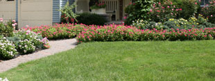 Landscape Design Concepts